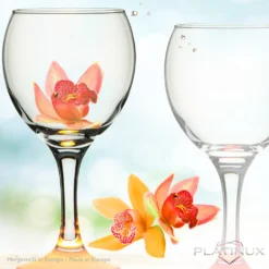 Trinkgläser Bunt Aus Glas Weingläser Mit Buntem Stiel 220ml Set 6-Teilig Getränkeglas Wasserglas Weißweingläser -Küchenbedarf Laden 04fc51e4106ab66456b25fd598038667