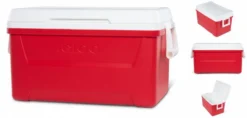 Igloo Kühler Laguna 48passiv 45 Liter Rot -Küchenbedarf Laden 140402d73b64a56f9669c0a675e891da