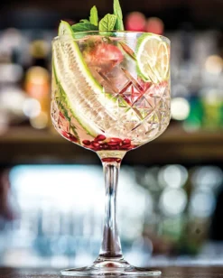 Pasabahce 440237 Timeless Gin Tonic Cocktailglas, 550ml, Glas, Transparent, 12 Stück 4 Pasabahce 440237 Timeless Gin Tonic Cocktailglas, 550ml, Glas, Transparent, 12 Stück -Küchenbedarf Laden 289217e309ae351251910bf9b2bb7ebc