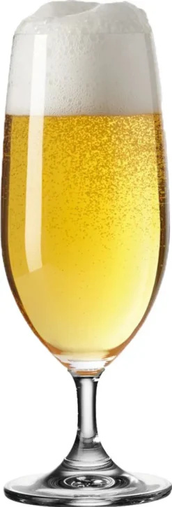 Leonardo Daily 6 Er Krt. Biertulpen -Küchenbedarf Laden 393af5dd7bc5a9e7a17d48f344381608 1