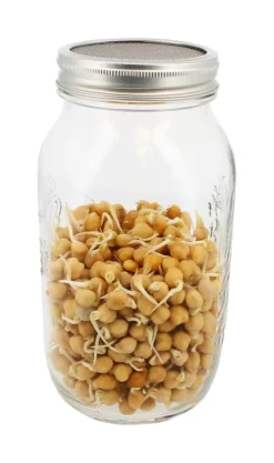 Sprossenglas (1500 Ml) | Sprossengläser Von Eschenfelder