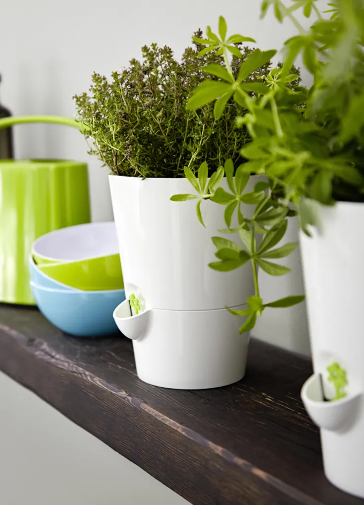 EMSA FRESH HERB Kräutertopf 13x17 cm, Weiß, 521244 EMSA FRESH HERB Kräutertopf 13x17 Cm, Weiß, 521244 -Küchenbedarf Laden 8ca0d6e22a767a6f95925f7338741ef0